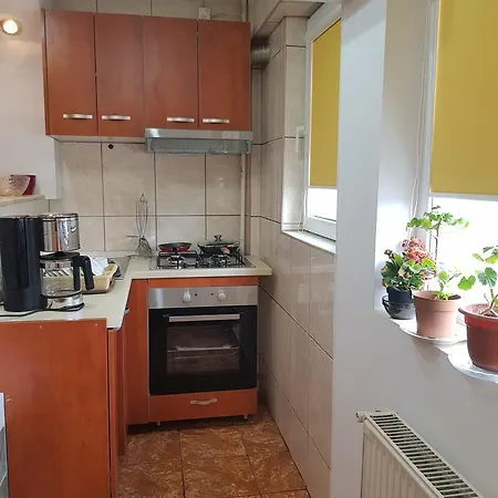 Luxury Ferdinand Apartment Bucharest